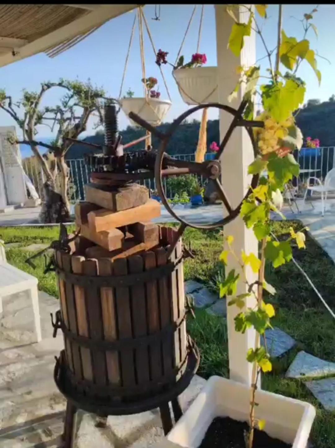 Message In A Bottle Bed And Breakfast Camporosso  Bagian luar foto